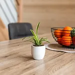 Confortable Moderne Prázdninový dům *