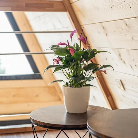 Tatil Evi Confortable Moderne *