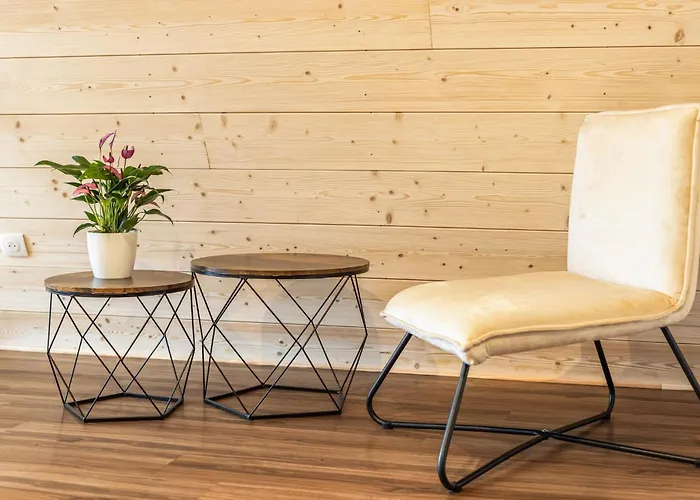 Confortable Moderne Holiday home Anould