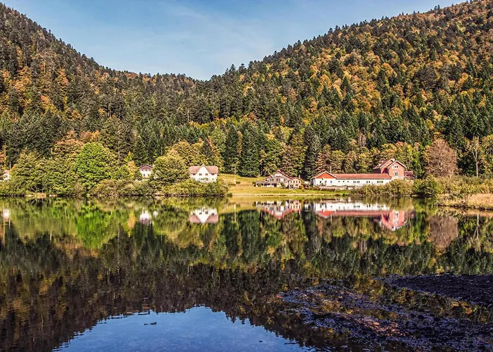 Confortable Moderne Holiday home Anould